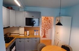 Apartament cu 3 camere, 70 mp, zona Tudor Vladimirescu