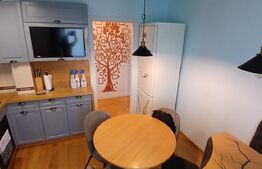 Apartament cu 3 camere, 70 mp, zona Tudor Vladimirescu