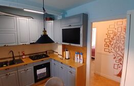 Apartament cu 3 camere, 70 mp, zona Tudor Vladimirescu