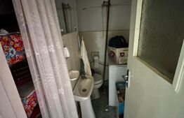 Apartament 3 camere Ludus