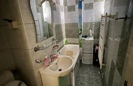 Apartament 3 camere Ludus