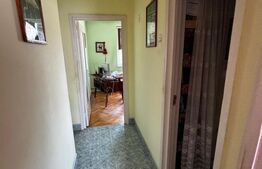 Apartament 3 camere Ludus