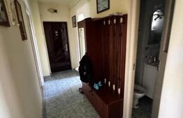 Apartament 3 camere Ludus