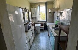 Apartament 3 camere Ludus