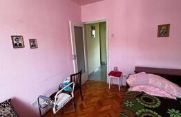 Apartament 3 camere Ludus