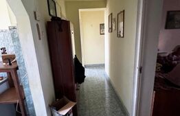 Apartament 3 camere Ludus