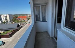 Apartament 3 camere Ludus