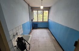 Apartament 2 camere, 50 mp, zona Dacia - Tudor