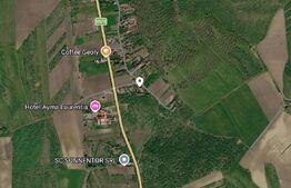 Apartament cu 3 camere, 80 mp, 3.000 mp teren, zona Reghin