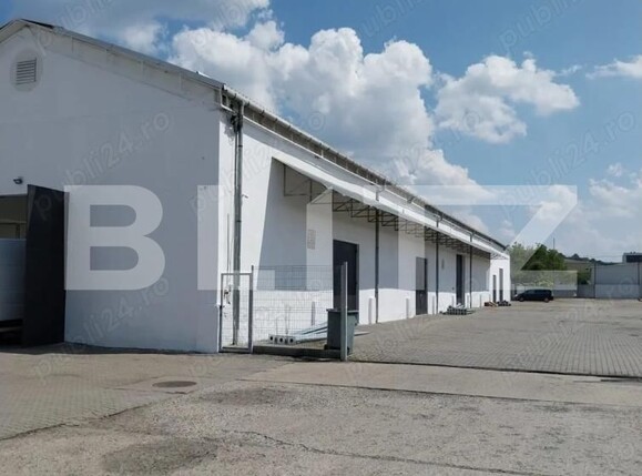 Spațiu industrial de închiriat Mureseni - 202873SII | BLITZ Târgu Mureș | Poza3