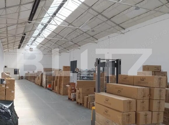 Spațiu industrial de închiriat Mureseni - 202873SII | BLITZ Târgu Mureș | Poza4