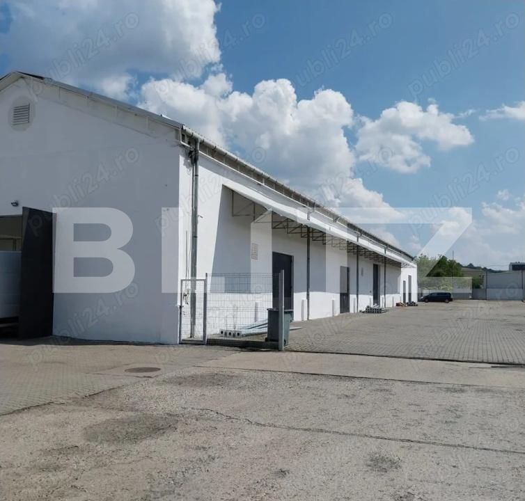 Spațiu industrial de închiriat Mureseni - 202873SII | BLITZ Târgu Mureș | Poza3
