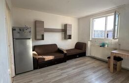 Garsoniera de vanzare, 32 mp, zona Ady Endre