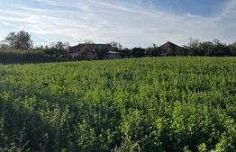 Casă de locuit în Valea Largă, cu teren generos de 5.100 mp