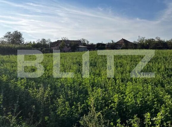 Casa de vânzare 2 camere Valea Larga - 202897CV | BLITZ Târgu Mureș | Poza3