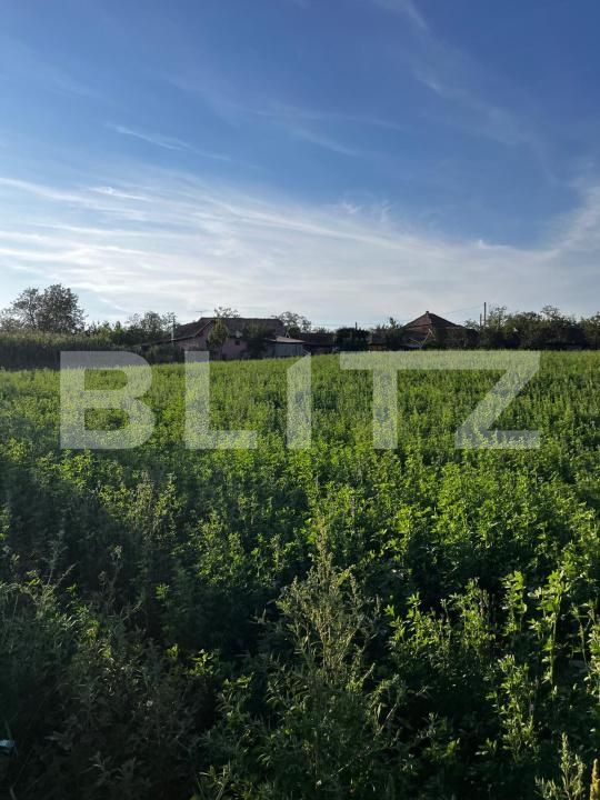 Casa de vânzare 2 camere Valea Larga - 202897CV | BLITZ Târgu Mureș | Poza3