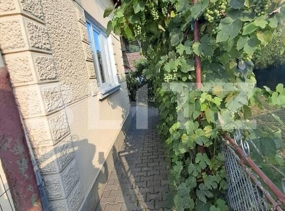 Casa de vânzare 3 camere Porumbeni - 203151CV | BLITZ Târgu Mureș | Poza3