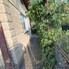 Casa de vânzare 3 camere Porumbeni - 203151CV - Poza 1 din 11 | BLITZ Târgu Mureș | Poza1
