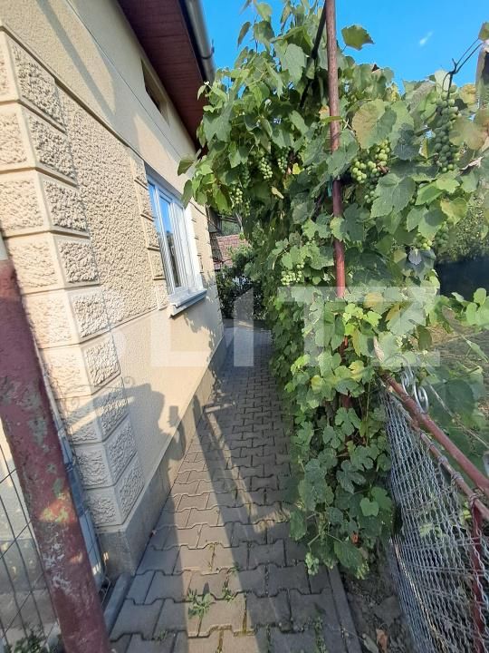 Casa de vânzare 3 camere Porumbeni - 203151CV | BLITZ Târgu Mureș | Poza3