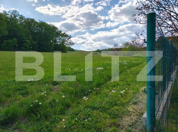 Teren de vânzare Unirii - 203217TV | BLITZ Târgu Mureș | Poza3