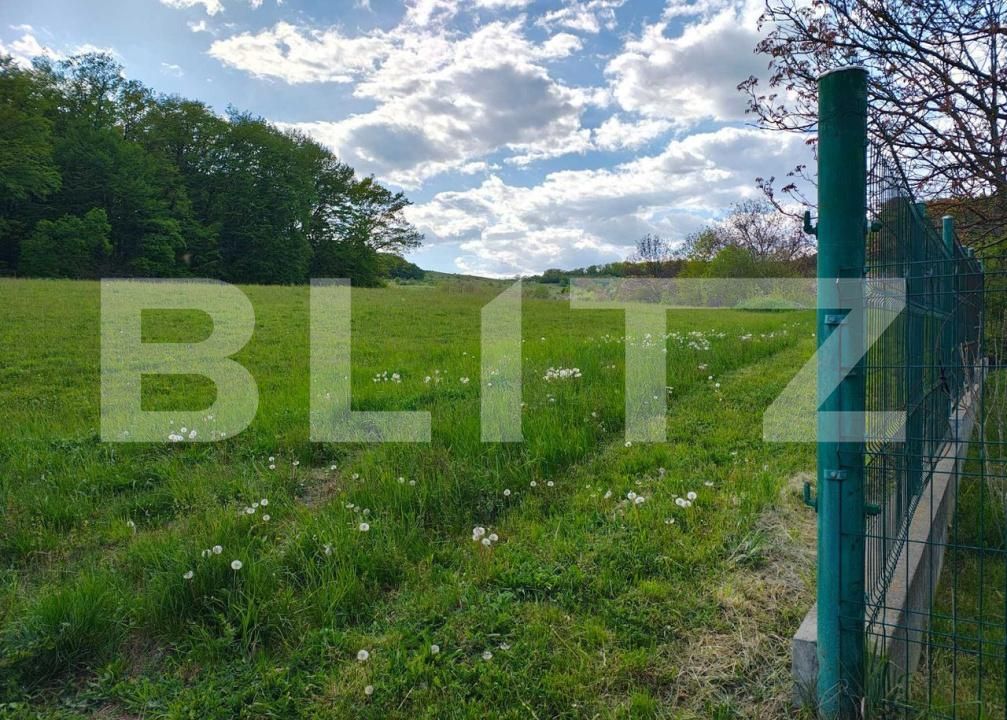 Teren de vânzare Unirii - 203217TV | BLITZ Târgu Mureș | Poza3