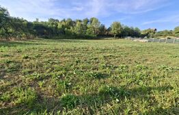 Teren de vânzare Curteni - 203633TV | BLITZ Târgu Mureș | Poza2