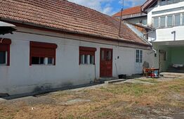 Casa individual, 336 mp, zona Unirii