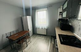 Apartament 1 cameră, 43 mp, zona Tudor
