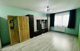 Apartament 1 cameră, 43 mp, zona Tudor
