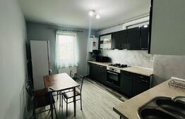 Apartament 1 cameră, 43 mp, zona Tudor