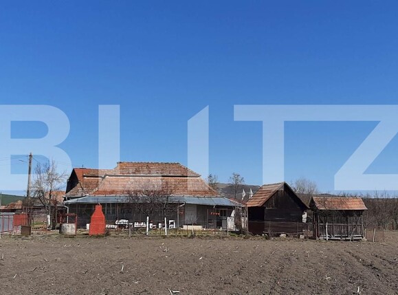 Casa de vânzare 3 camere Chetani - 203364CV | BLITZ Târgu Mureș | Poza3