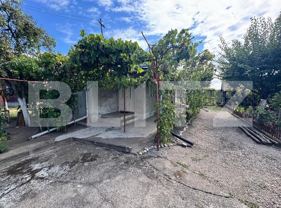 Casa de vânzare 3 camere Chetani - 203364CV | BLITZ Târgu Mureș | Poza9
