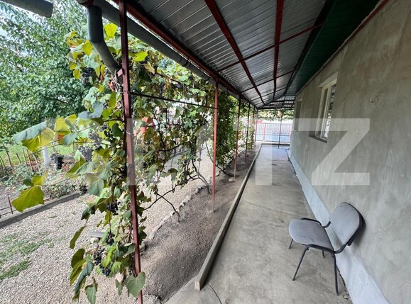 Casa de vânzare 3 camere Chetani - 203364CV | BLITZ Târgu Mureș | Poza14