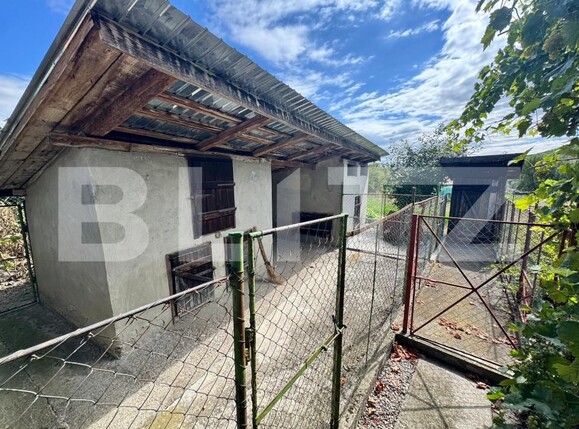 Casa de vânzare 3 camere Chetani - 203364CV | BLITZ Târgu Mureș | Poza12