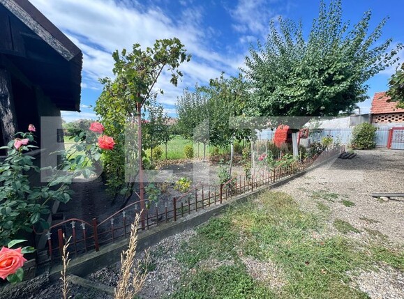 Casa de vânzare 3 camere Chetani - 203364CV | BLITZ Târgu Mureș | Poza10