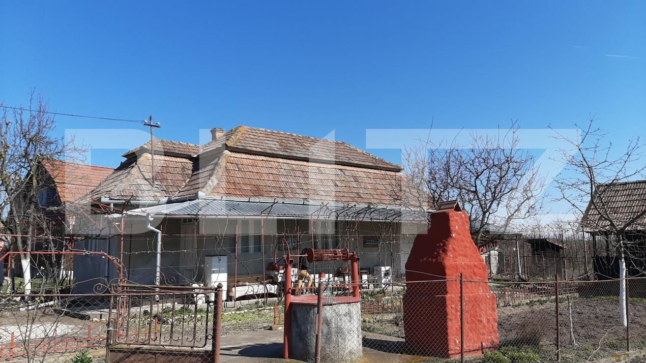 Casa de vânzare 3 camere Chetani - 203364CV | BLITZ Târgu Mureș | Poza4
