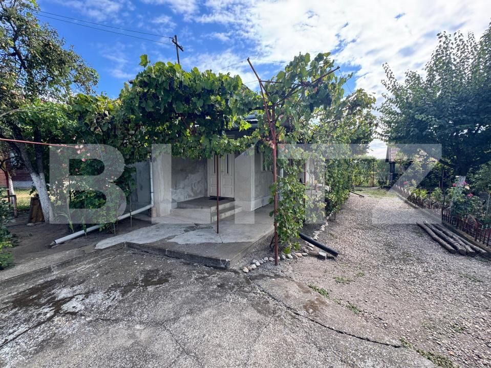 Casa de vânzare 3 camere Chetani - 203364CV | BLITZ Târgu Mureș | Poza9