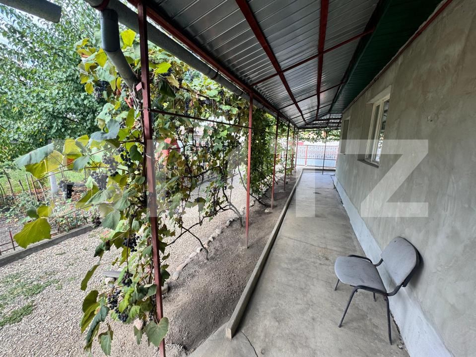 Casa de vânzare 3 camere Chetani - 203364CV | BLITZ Târgu Mureș | Poza14