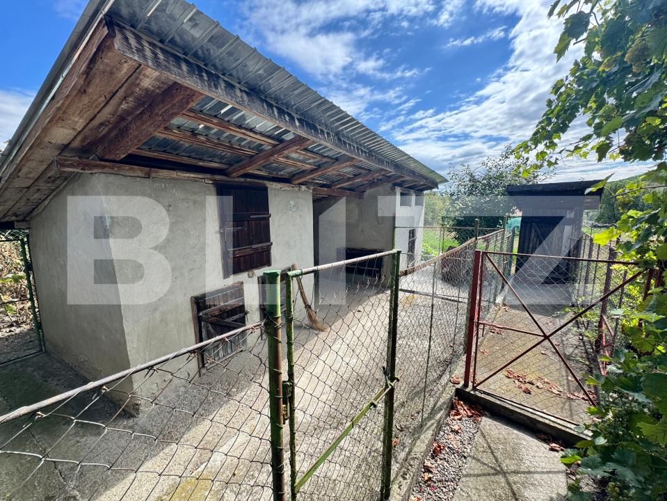 Casa de vânzare 3 camere Chetani - 203364CV | BLITZ Târgu Mureș | Poza12