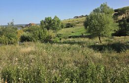 Teren intravilan, 1.028 mp, zona Bărdești