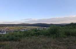 Teren extravilan, 5.100 mp, zona Livezeni