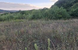 Teren extravilan, 5.100 mp, zona Livezeni