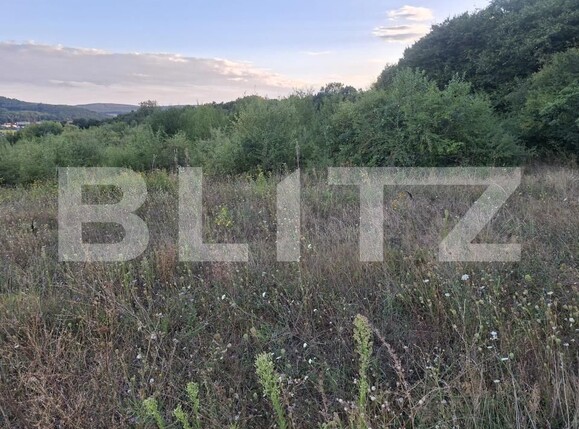 Teren de vânzare Livezeni - 203483TV | BLITZ Târgu Mureș | Poza1