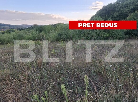 Teren de vânzare Livezeni - 203483TV | BLITZ Târgu Mureș | Poza1
