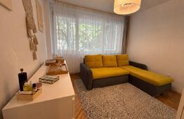 Apartament cu 2 camere, 47.50 mp, zona Aleea Carpati