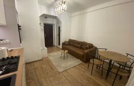  Garsonieră 1 camera, 20 mp, zona UMF / Spital Județean