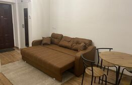  Garsonieră 1 camera, 20 mp, zona UMF / Spital Județean