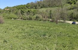 Teren intravilan cu priveliște panoramică în Curteni!