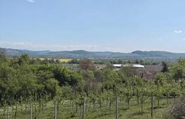Teren intravilan cu priveliște panoramică în Curteni!