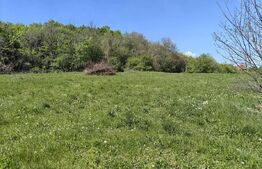 Teren intravilan cu priveliște panoramică în Curteni!